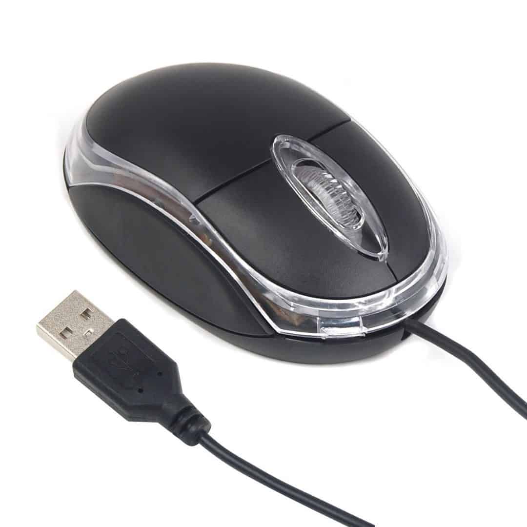 Mouse (1)